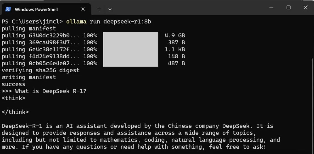 如何在你自己电脑上安装和使用DeepSeek R1 大模型？DeepSeek R1本地部署指南