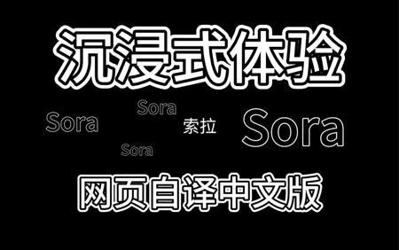 沉浸式认识Sora—中文版