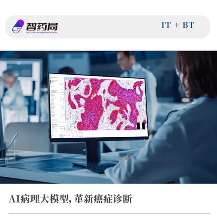 医生阅片神器登场！微软、Paige推出病理大模型，AI零样本检测癌症，一键生成诊断报告！