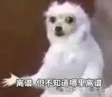 嚯！国产视频模型的物理水准超神了 | 实测MiniMax海螺02