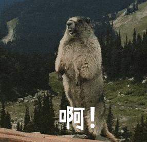 我把AI当辅助，AI删我数据库