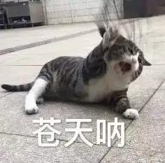 AI搜索一夜变天，专为Agent做搜索的赛道能否诞生百亿美金新巨头？
