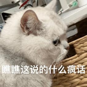 硅谷AI初创重新拥抱996