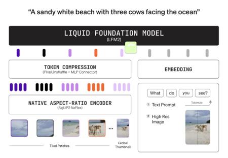 ​Liquid AI 推出 LFM2-VL：低延迟的超高效视觉语言模型