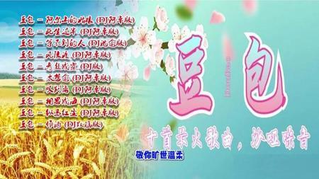 豆包最火的十首DJ歌曲