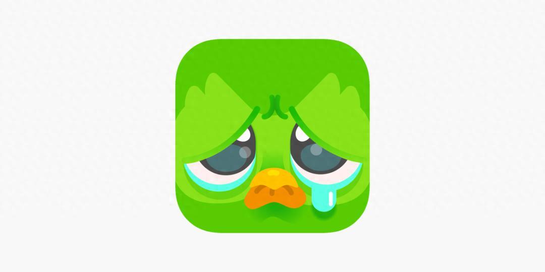 「一页纸」讲透美股公司之：Duolingo，学习的外衣，游戏的内核